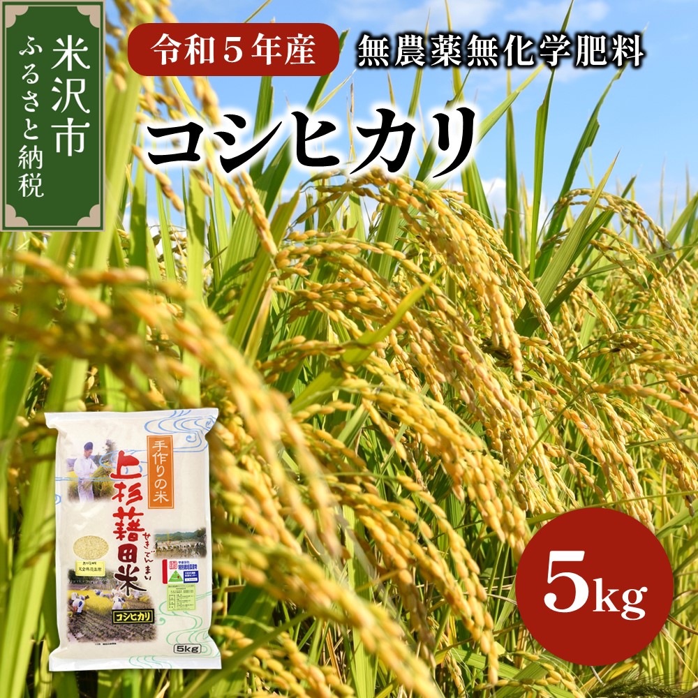 【令和5年産 新米】無農薬無化学肥料栽培 コシヒカリ5kg 