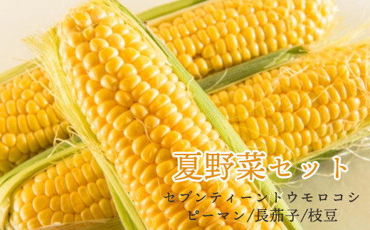 036-009 米沢産トウモロコシと夏野菜セット
